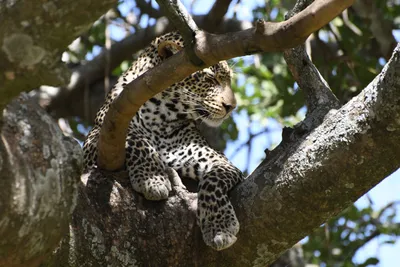 DSC_3970 (Large).JPG